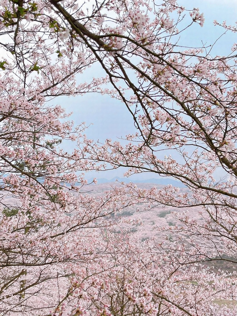 安顺旅游