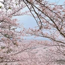 安顺旅游 缩略图 1