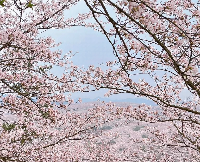 安顺旅游 1