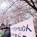 安顺旅游 缩略图 5
