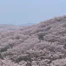 安顺旅游 缩略图 9
