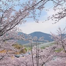 安顺旅游 缩略图 7