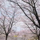 安顺旅游 缩略图 8