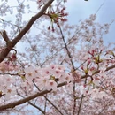 安顺旅游 缩略图 10