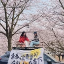 安顺旅游 缩略图 11