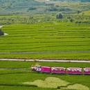 安顺旅游 缩略图 4
