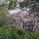 贵阳旅游 缩略图 2