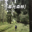 安顺旅游 缩略图 1