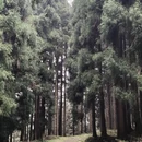 安顺旅游 缩略图 3