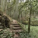 安顺旅游 缩略图 7