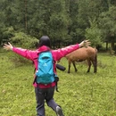安顺旅游 缩略图 2