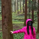 安顺旅游 缩略图 6