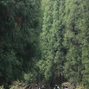 安顺旅游 缩略图 8