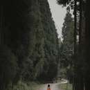 贵阳旅游 缩略图 4