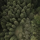 贵阳旅游 缩略图 2