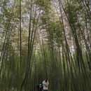 安顺旅游 缩略图 10