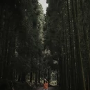 贵阳旅游 缩略图 8