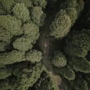 贵阳旅游 缩略图 3