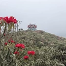 毕节旅游 缩略图 2