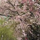 贵阳旅游 缩略图 6