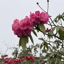 毕节旅游 缩略图 3
