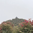 毕节旅游 缩略图 1