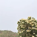 毕节旅游 缩略图 5