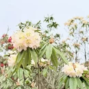 毕节旅游 缩略图 4