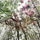 毕节旅游 缩略图 11