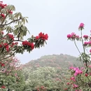 毕节旅游 缩略图 13