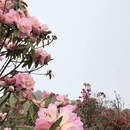毕节旅游 缩略图 14