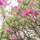 毕节旅游 缩略图 10