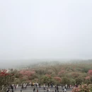 毕节旅游 缩略图 12