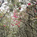 毕节旅游 缩略图 7