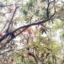 毕节旅游 缩略图 8