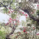 毕节旅游 缩略图 9