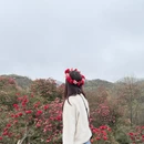 毕节旅游 缩略图 17