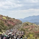 安顺旅游 缩略图 6