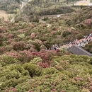 安顺旅游 缩略图 4