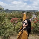 安顺旅游 缩略图 5