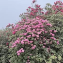 毕节旅游 缩略图 15