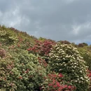 安顺旅游 缩略图 11