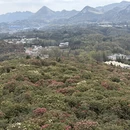 安顺旅游 缩略图 13