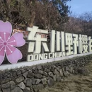金华旅游 缩略图 1