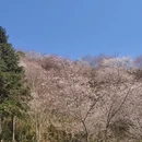 金华旅游 缩略图 5