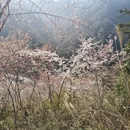 金华旅游 缩略图 10
