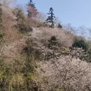 金华旅游 缩略图 4