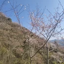 金华旅游 缩略图 8