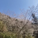 金华旅游 缩略图 13