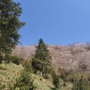 金华旅游 缩略图 12